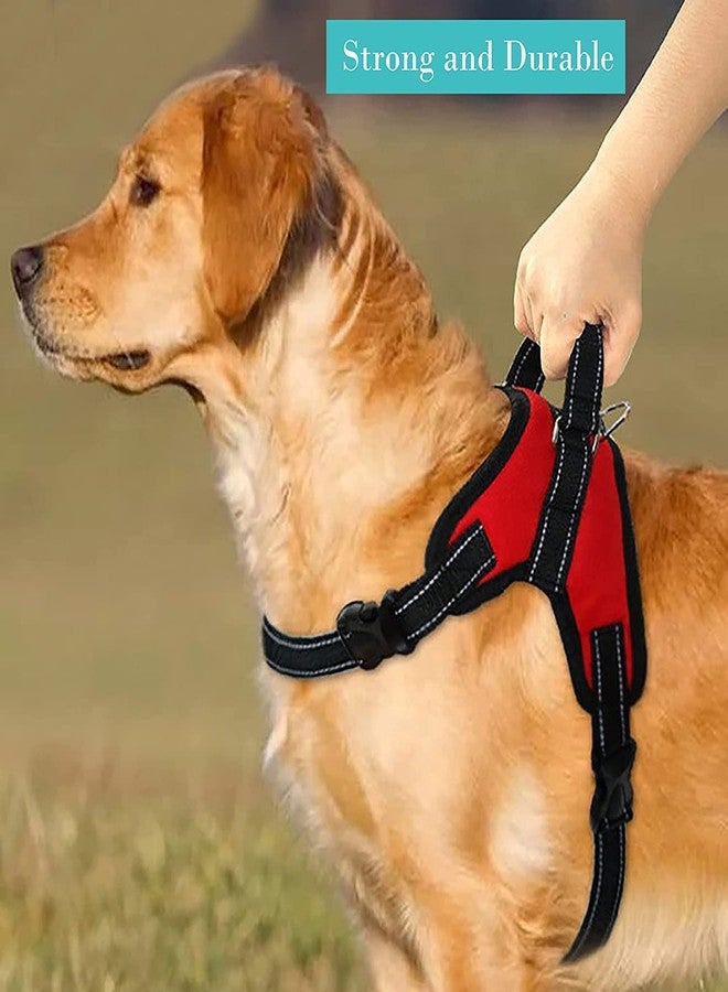 Smart Pups Dog Harness Chest Body Belt for Small Dogs Girth inch 17”-20” Red - Image 3